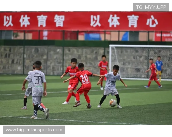 足球联赛在青训扶持中鼓励俱乐部建立学业支持与升学指导服务，国家关于足球特色学校跟足球青训机构合作的文件