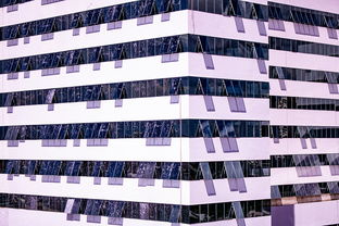 米兰体育app-中国篮球职业联赛青训体系建设与优化，中国青年篮球队